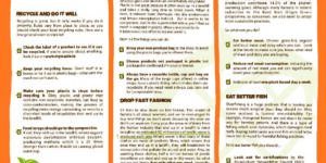 BioBus-Leaflet-pdf-300x215