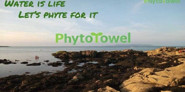 PhytoTowel
