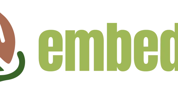 embeded-logo.webp