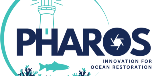 pharos-logo-cropped